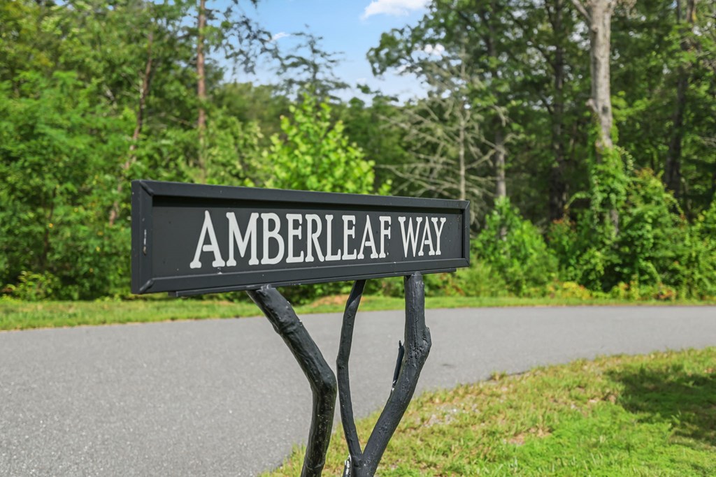 117 Amberleaf Way