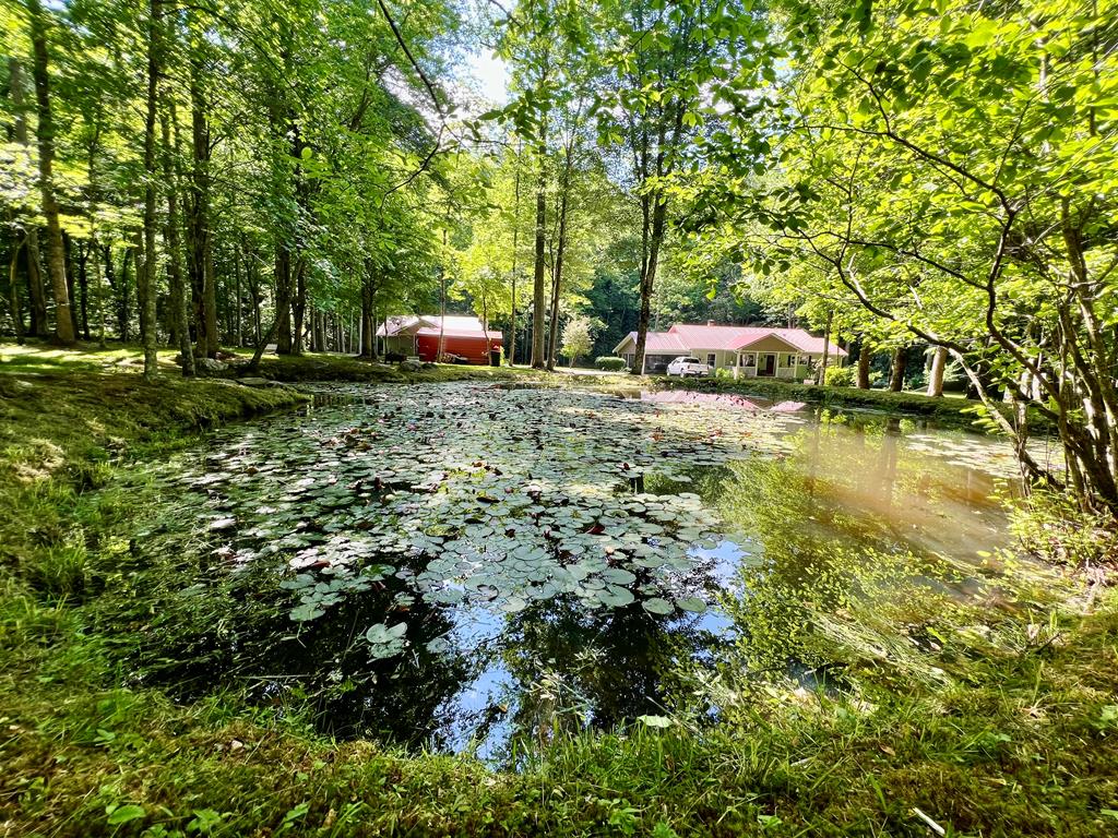 504 Compass Creek Drive