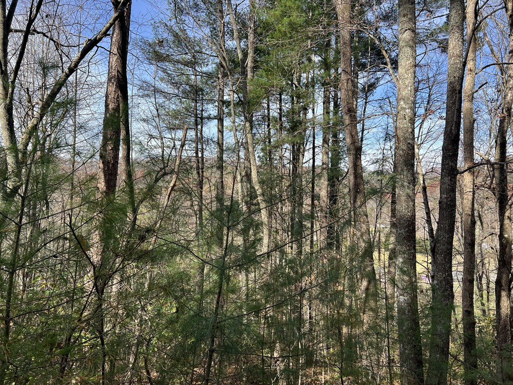 0 Downings Creek Lane
