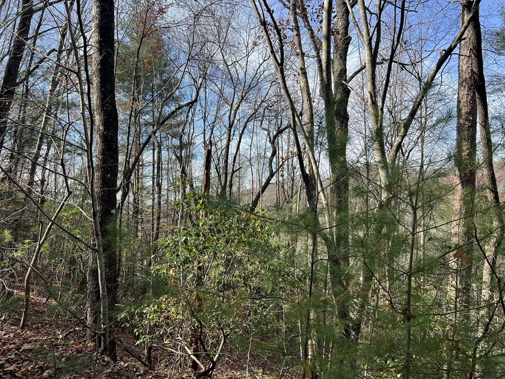 0 Downings Creek Lane