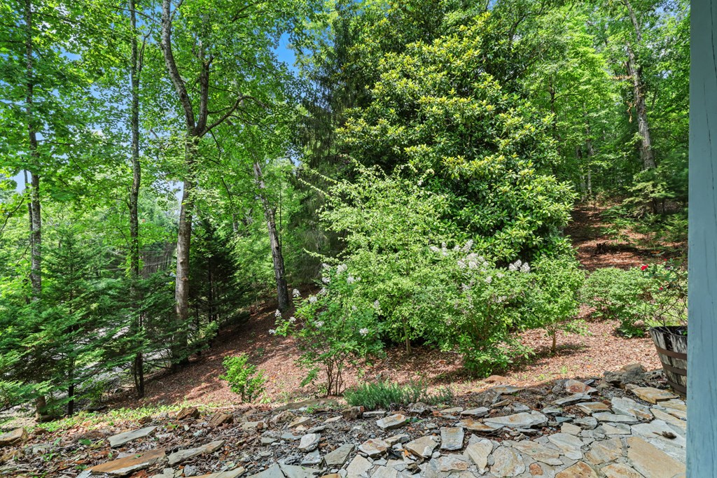 27 Dogwood Hollar Lane