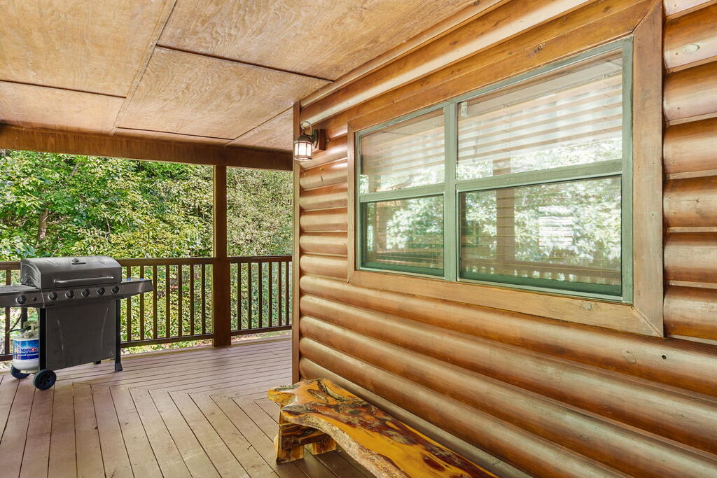 223 Mountain Breezes Drive