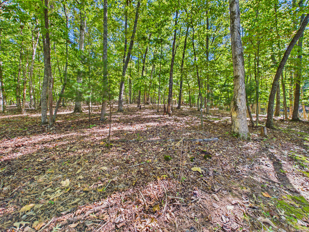 654 Ford Road