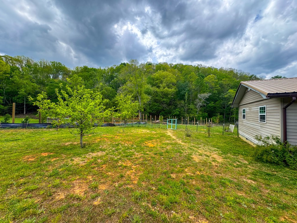 3325 Pack Mountain Road