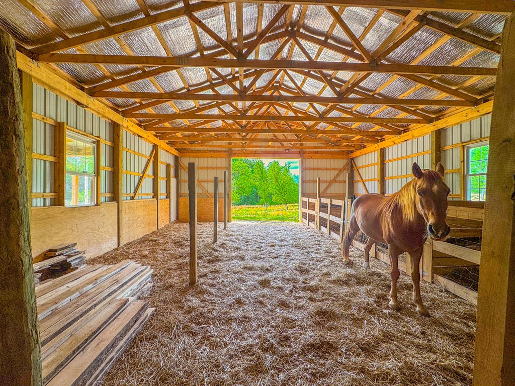 3325 Pack Mountain Road
