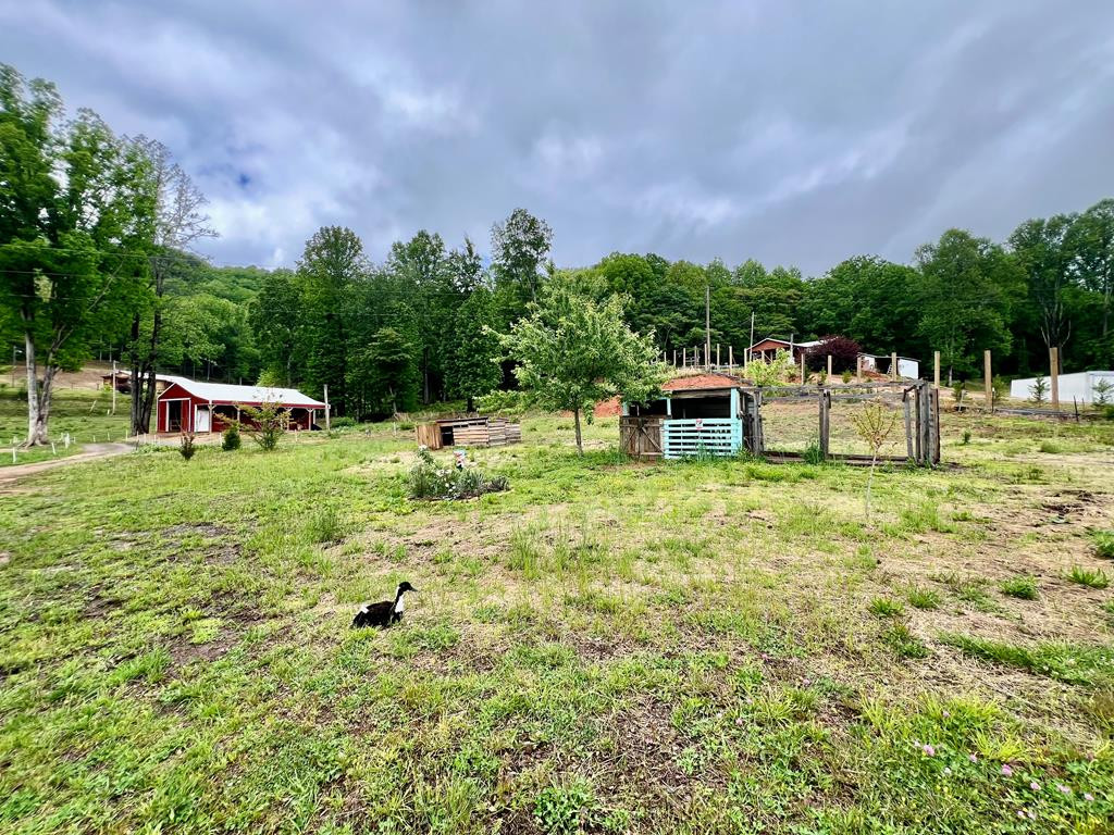 3325 Pack Mountain Road