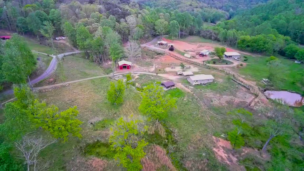 3325 Pack Mountain Road
