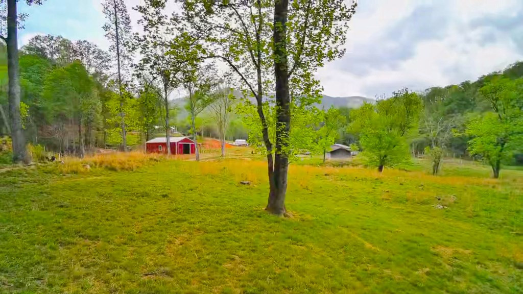 3325 Pack Mountain Road