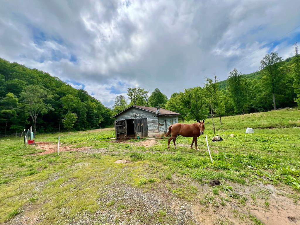 3325 Pack Mountain Road