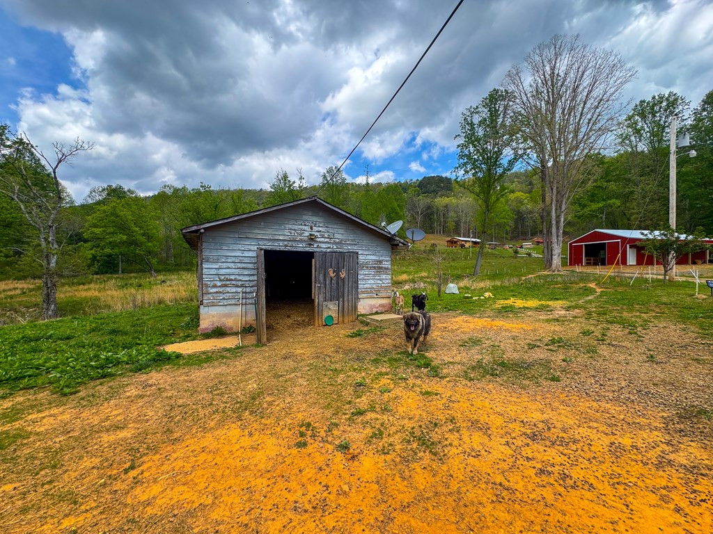 3325 Pack Mountain Road