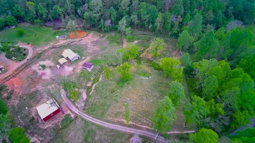 3325 Pack Mountain Road