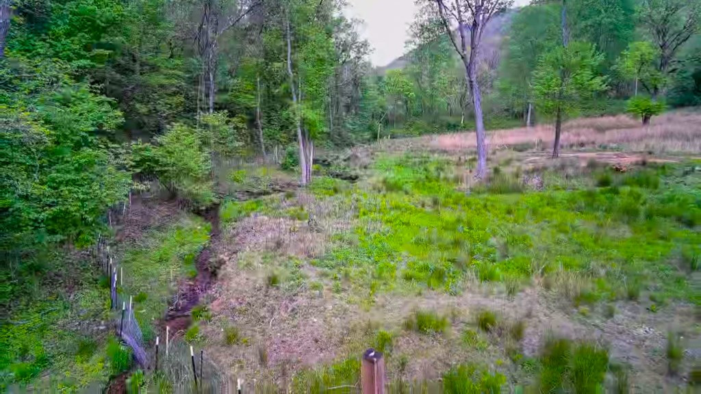 3325 Pack Mountain Road