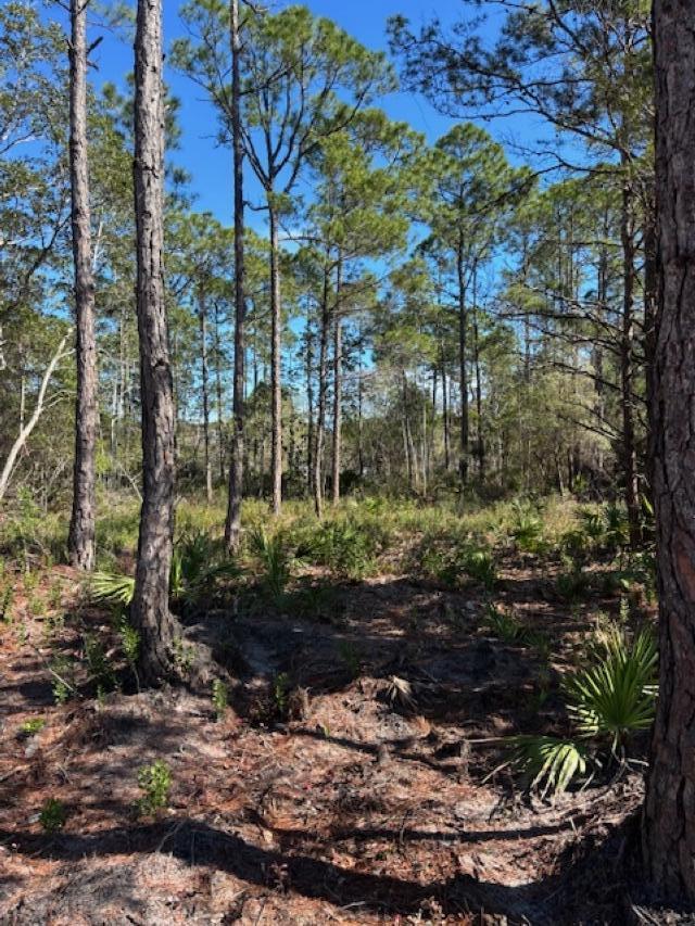 4481 Water Leaf Cove
