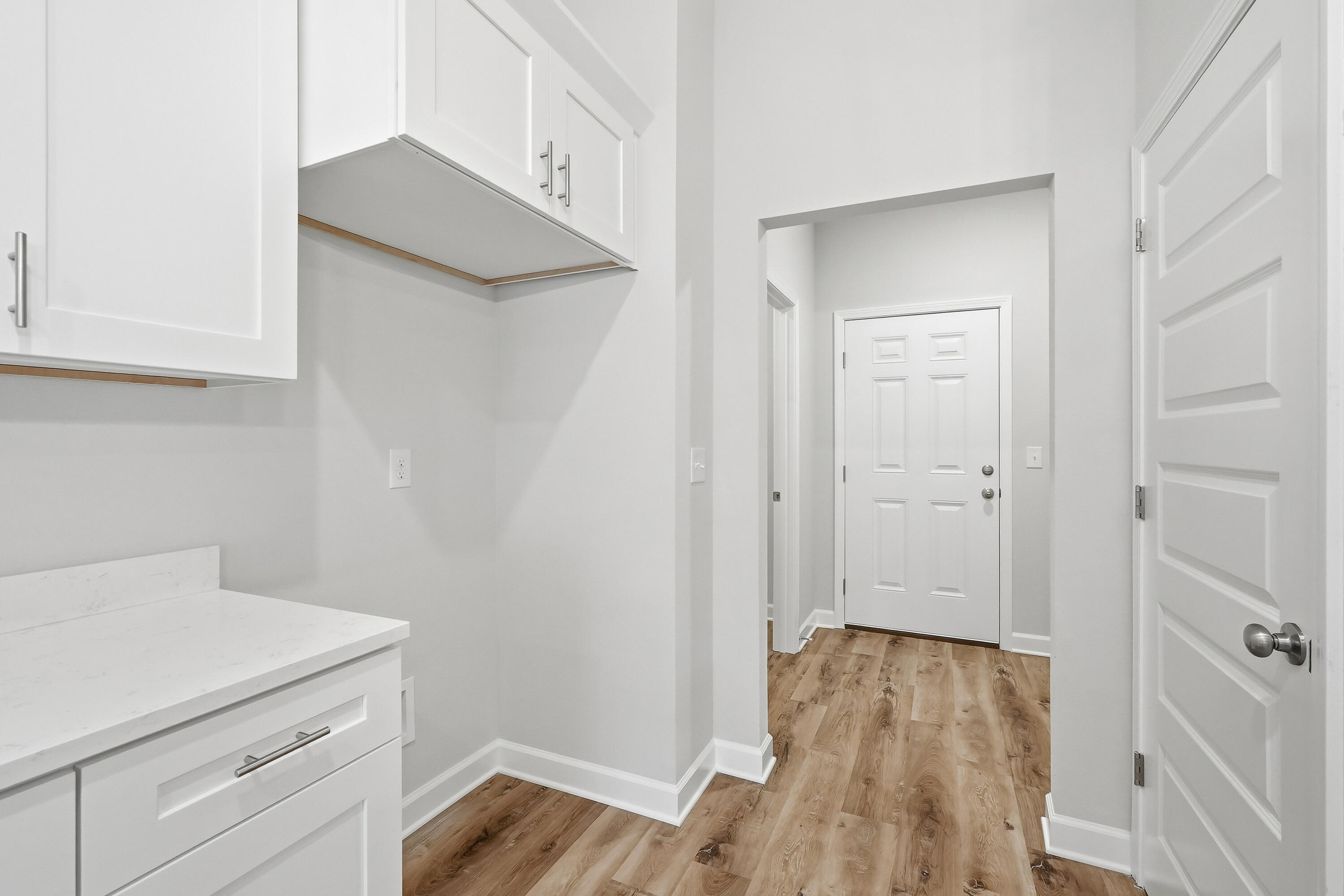 Entry hall with white cabinetry, a paneled front door, and wood-look flooring.
