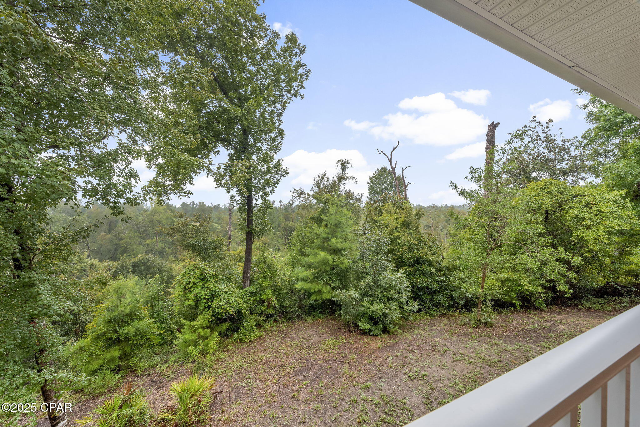13935 Blue Springs Road
