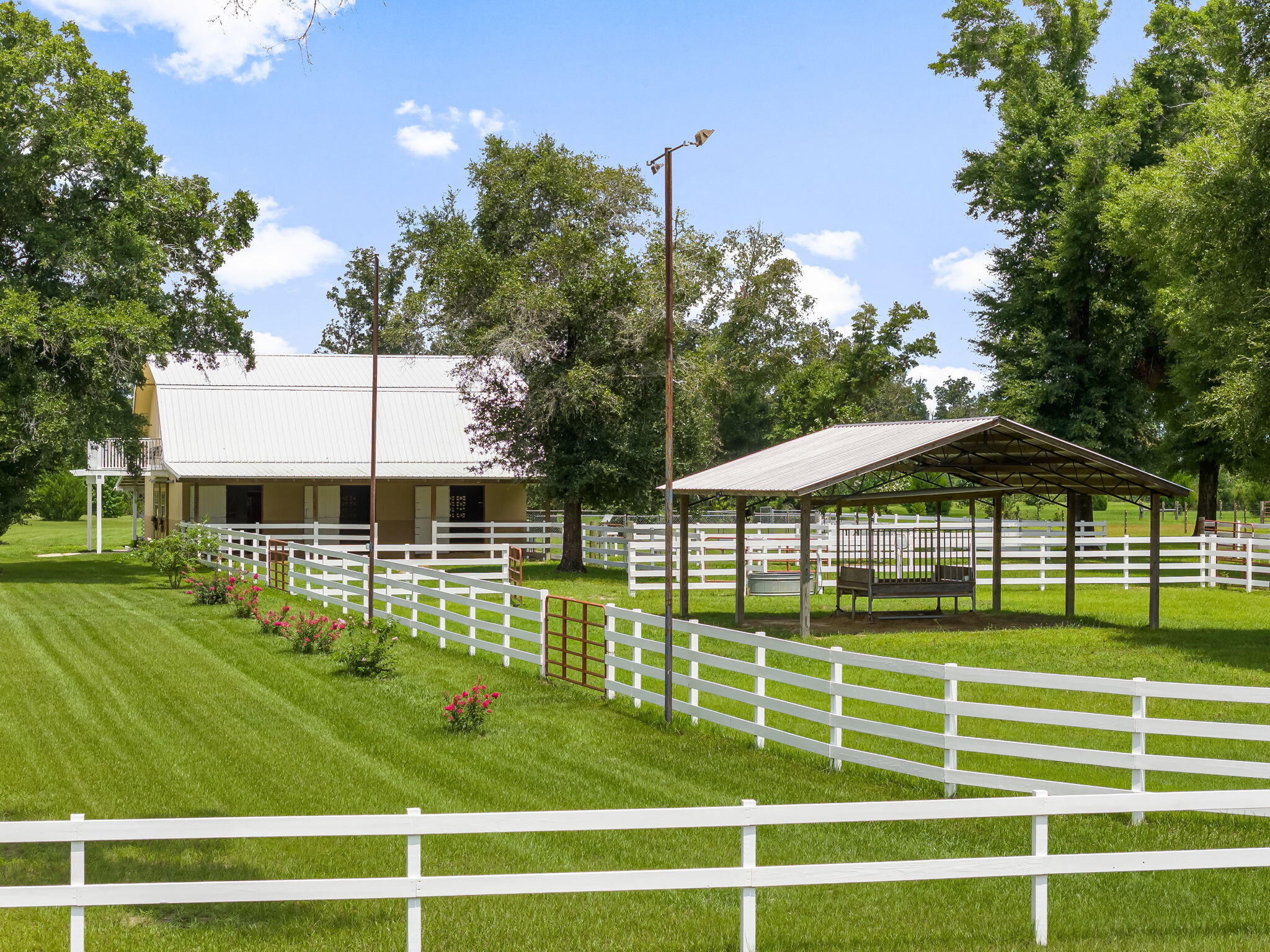13935 Blue Springs Road