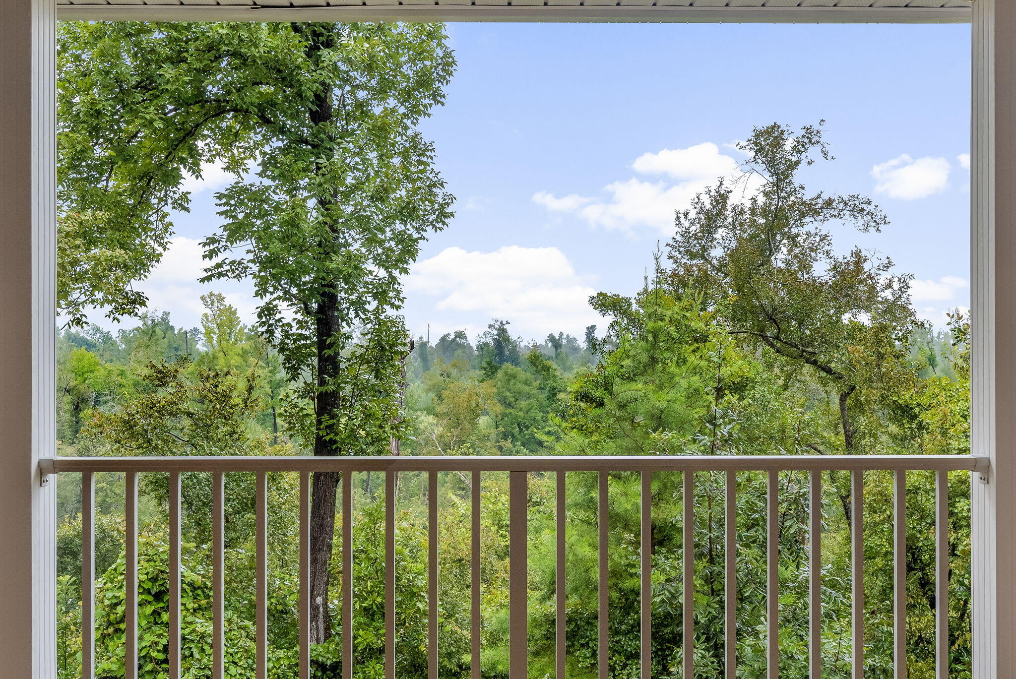 13935 Blue Springs Road