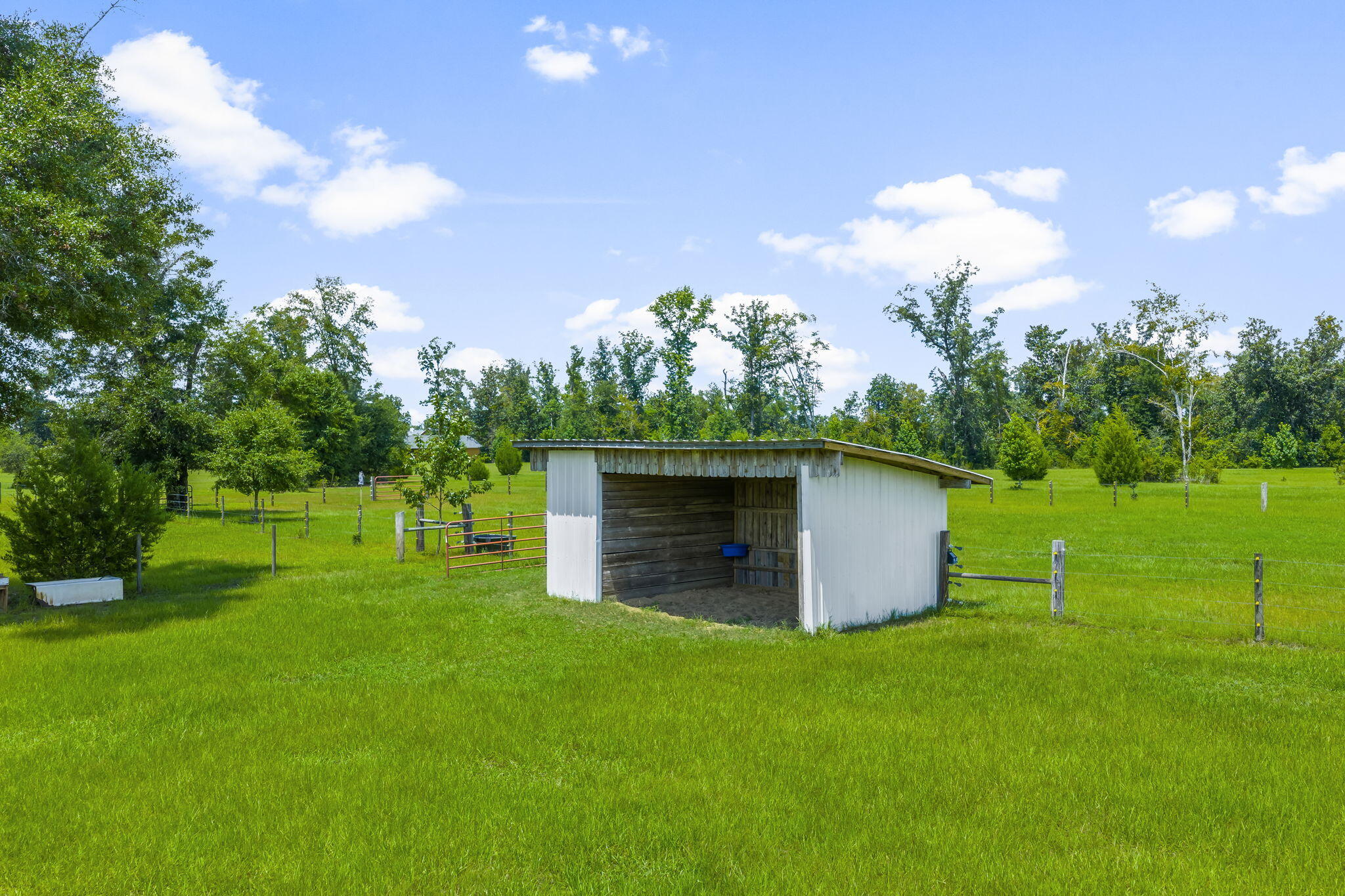 13935 Blue Springs Road