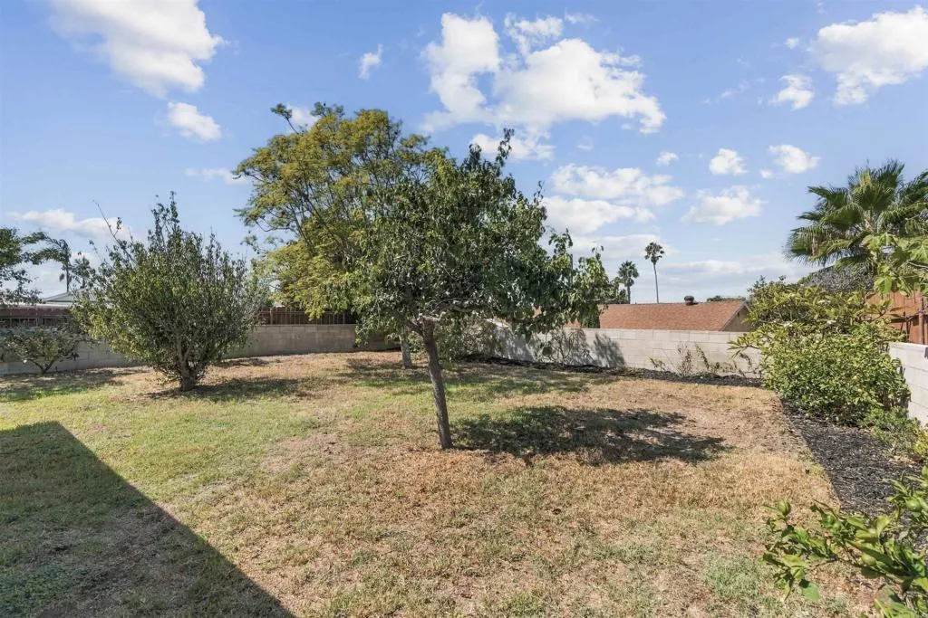 Backyard with a dry lawn, mature trees, shrubs, and a low block wall.