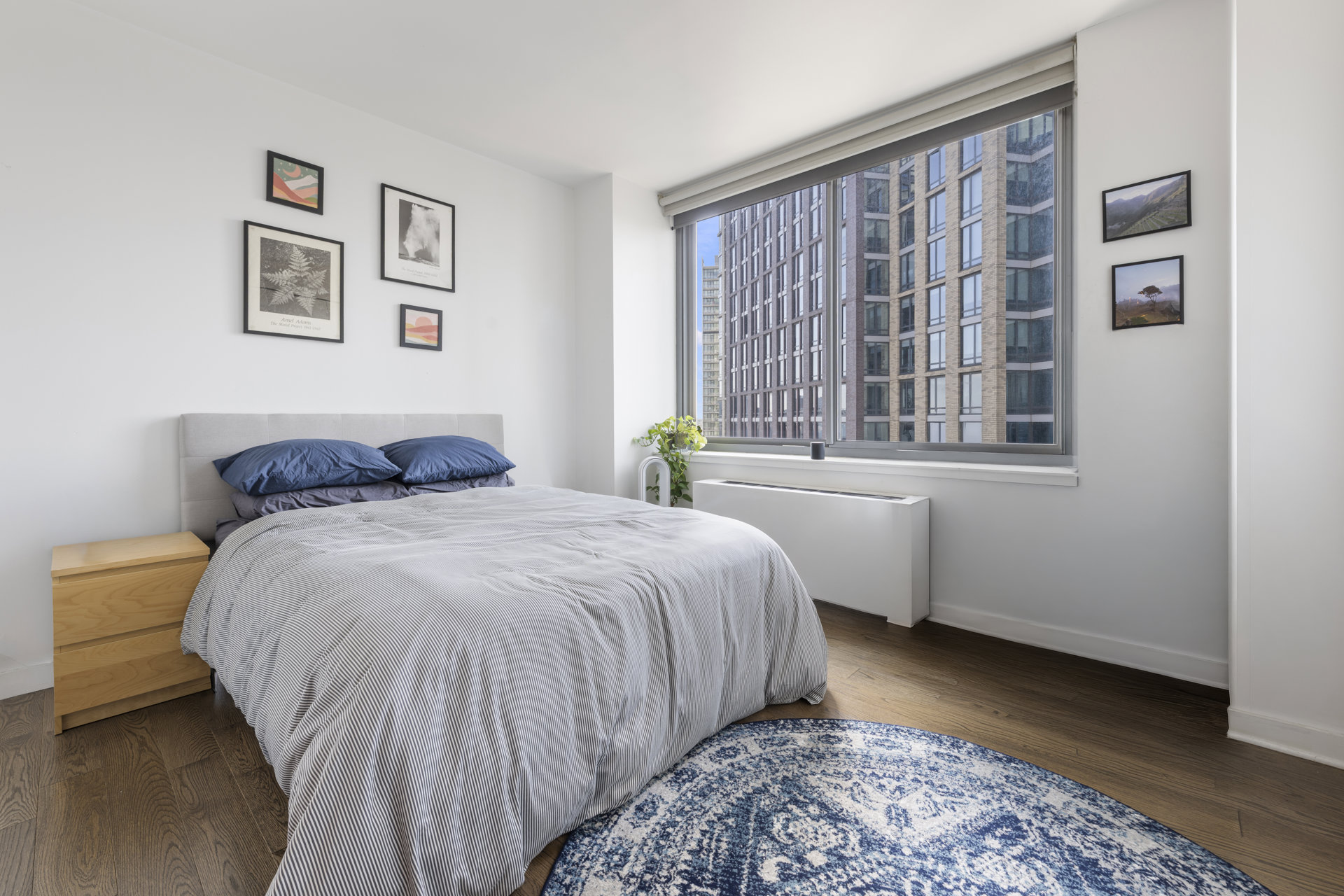 230 ASHLAND Place 21D
