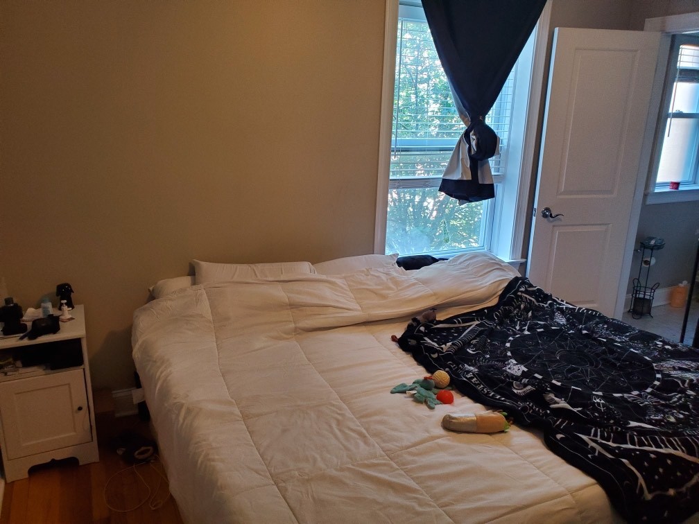 1226 Elmwood Avenue Unit: 1E