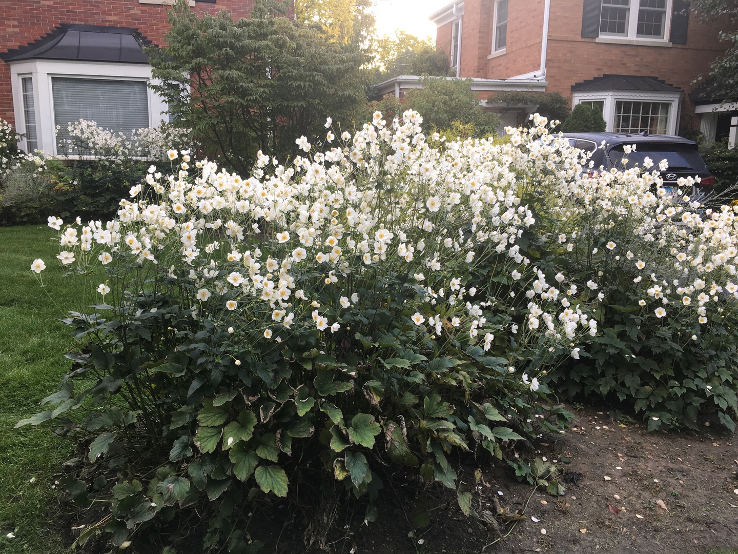 9433 Crawford Avenue