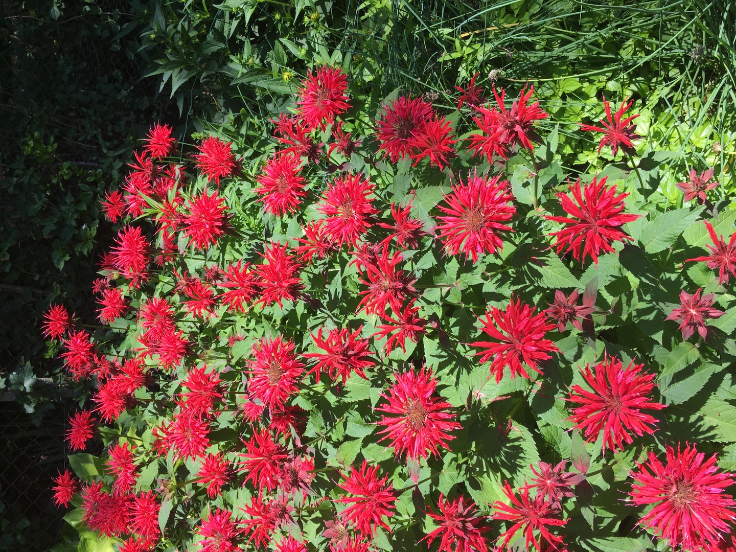 9433 Crawford Avenue