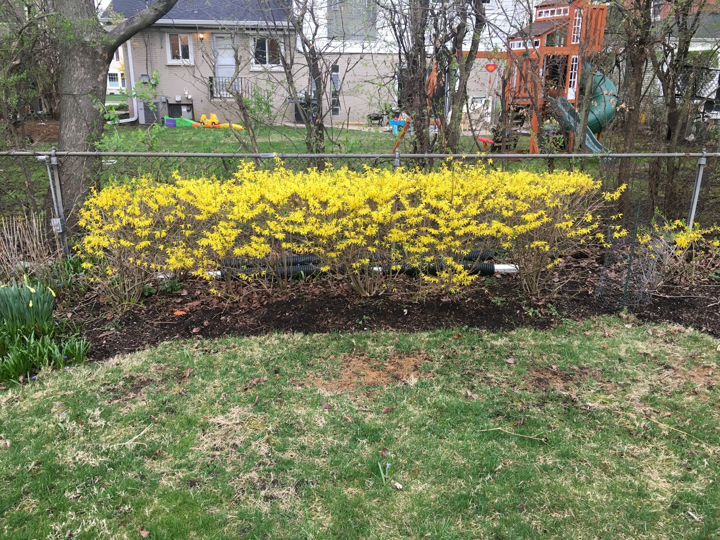 9433 Crawford Avenue