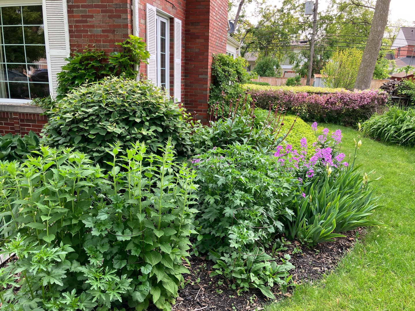 9433 Crawford Avenue