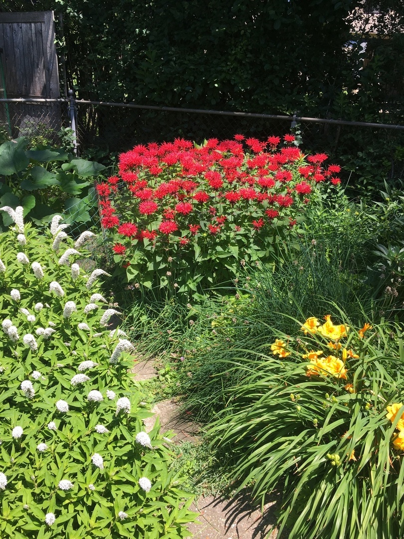 9433 Crawford Avenue