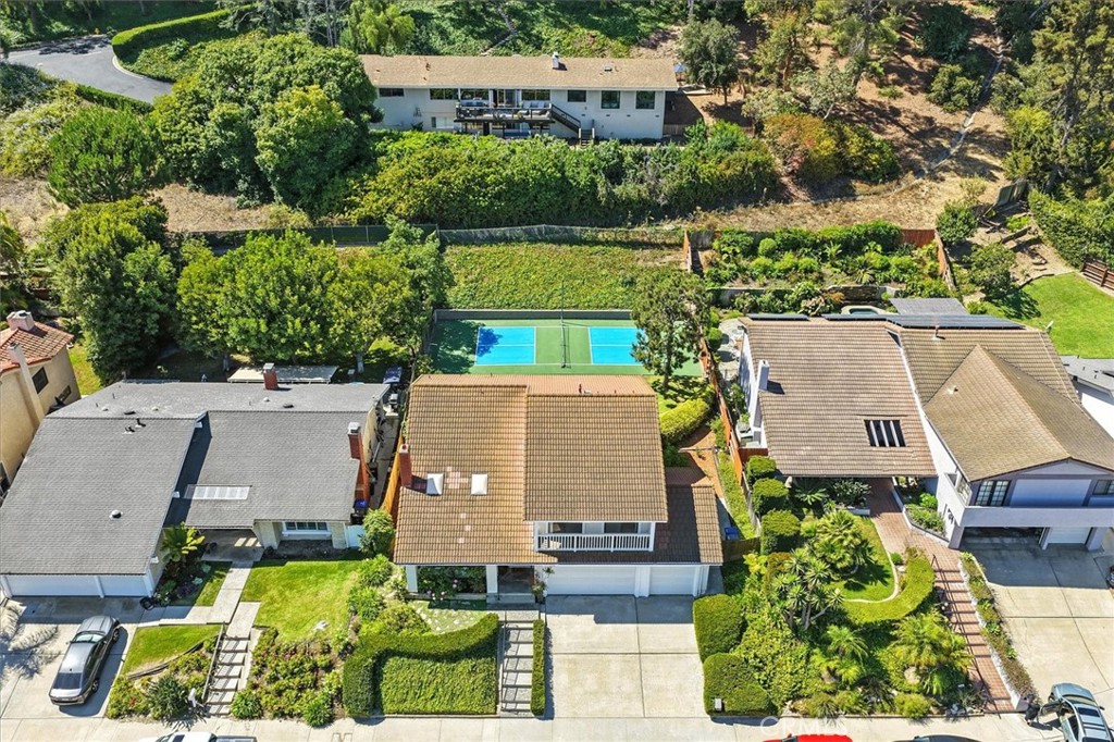 4338 Cartesian Circle