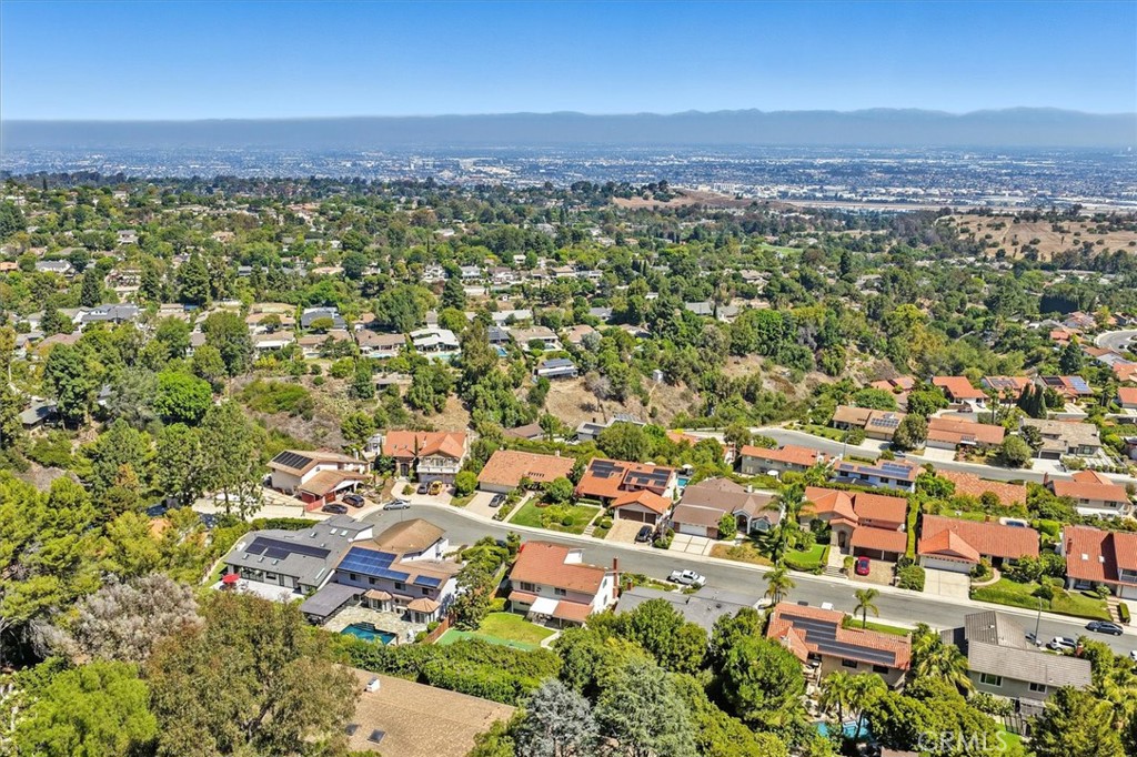 4338 Cartesian Circle
