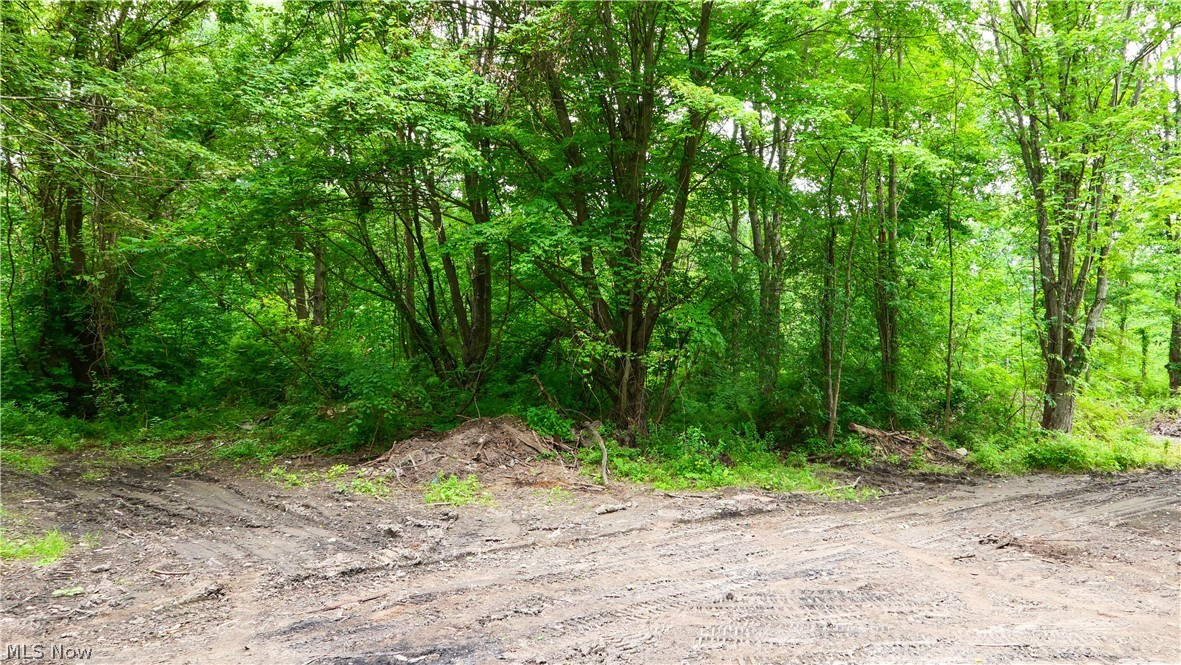 9513 State Route 305 Road