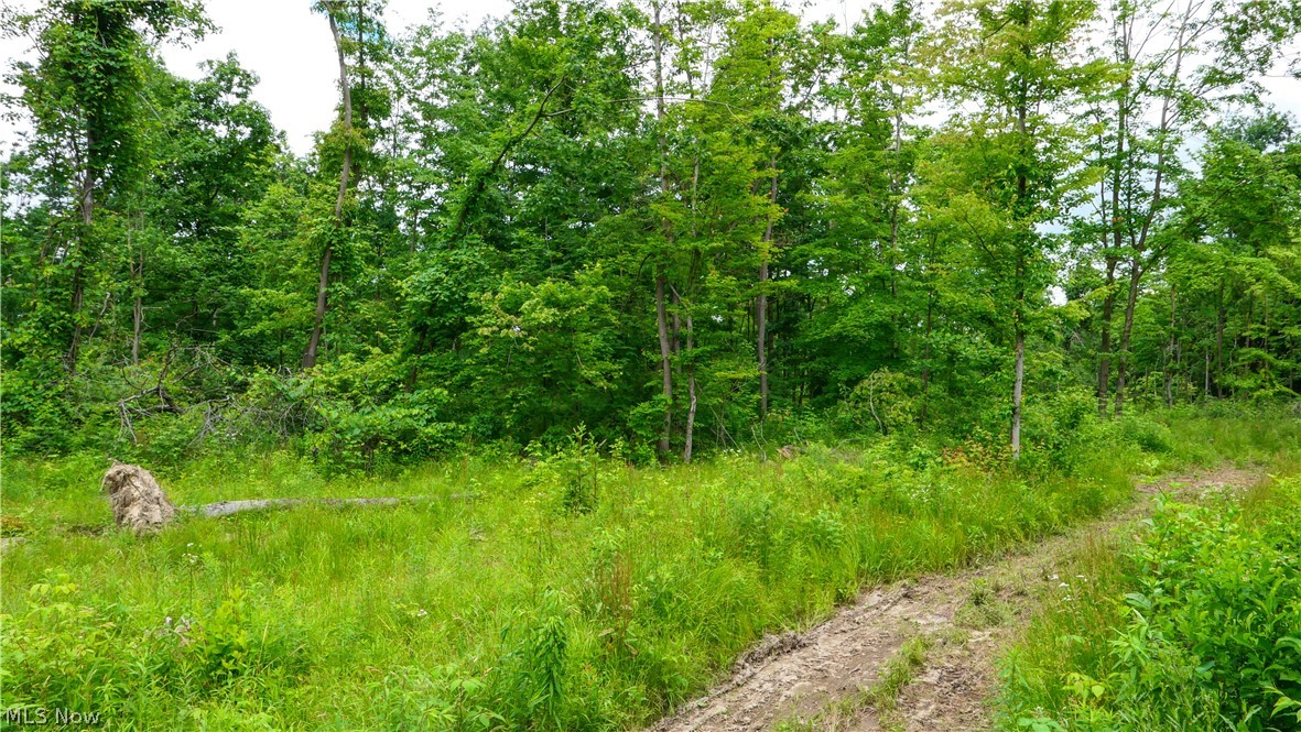 9513 State Route 305 Road