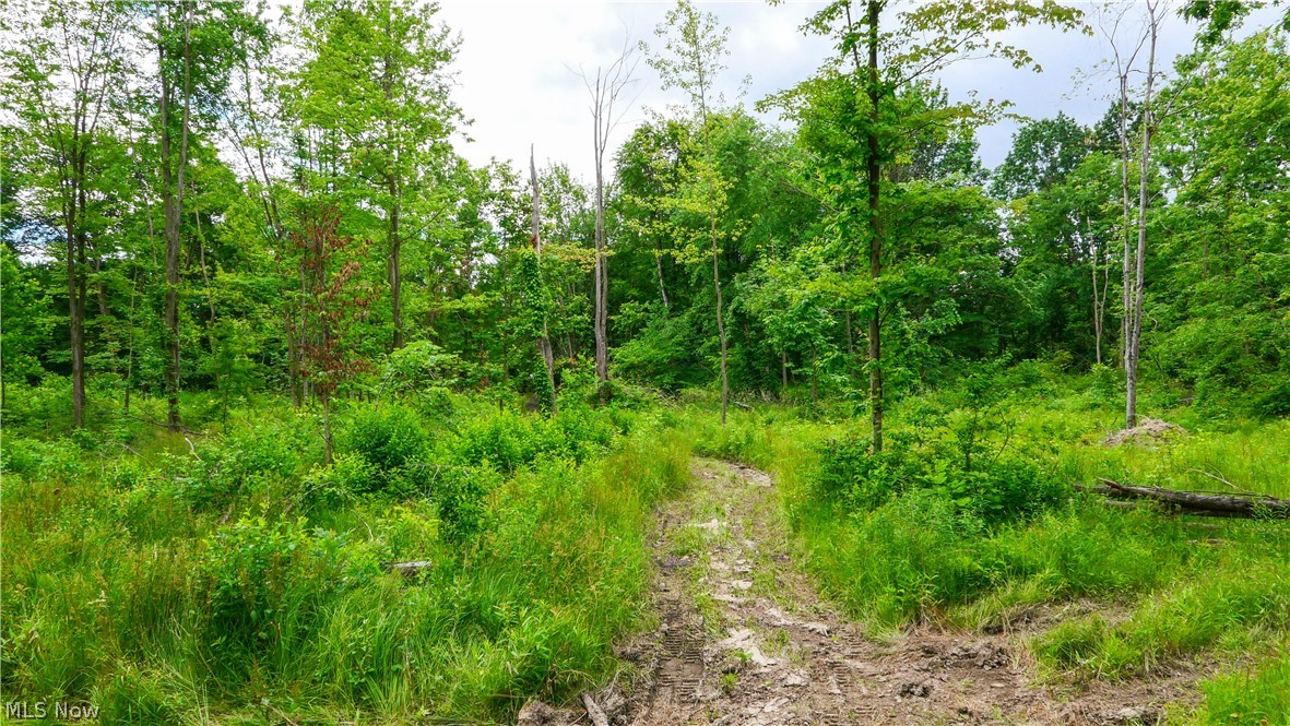 9513 State Route 305 Road