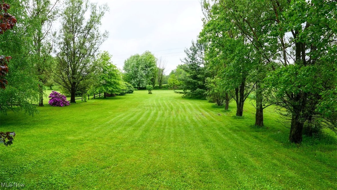 10597 State Route 82