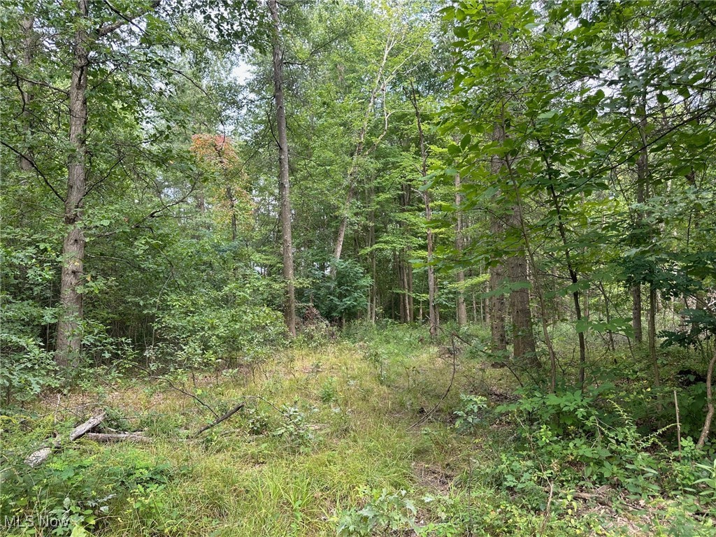 V/L 2 Fenstermaker Road