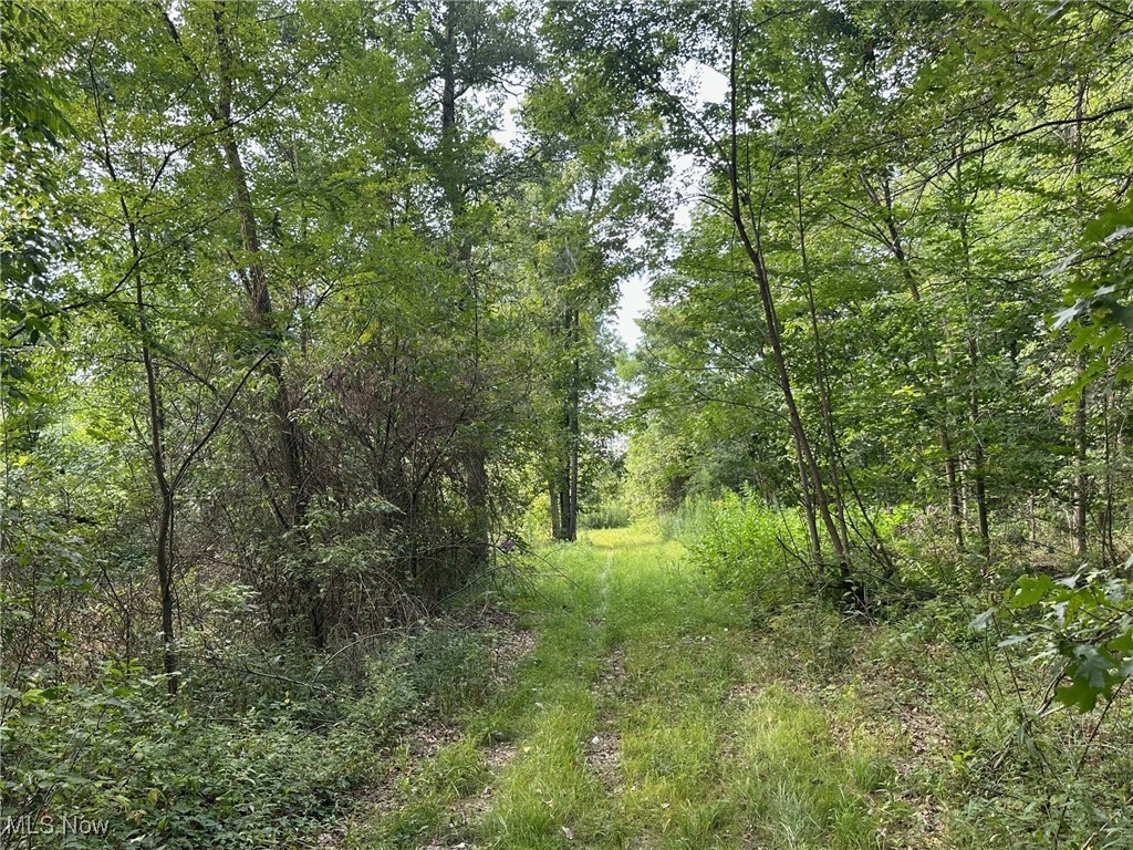 V/L 2 Fenstermaker Road