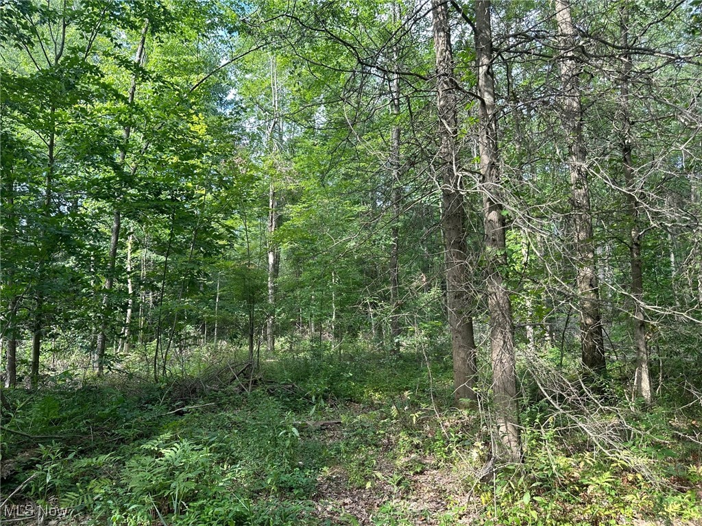 V/L 2 Fenstermaker Road