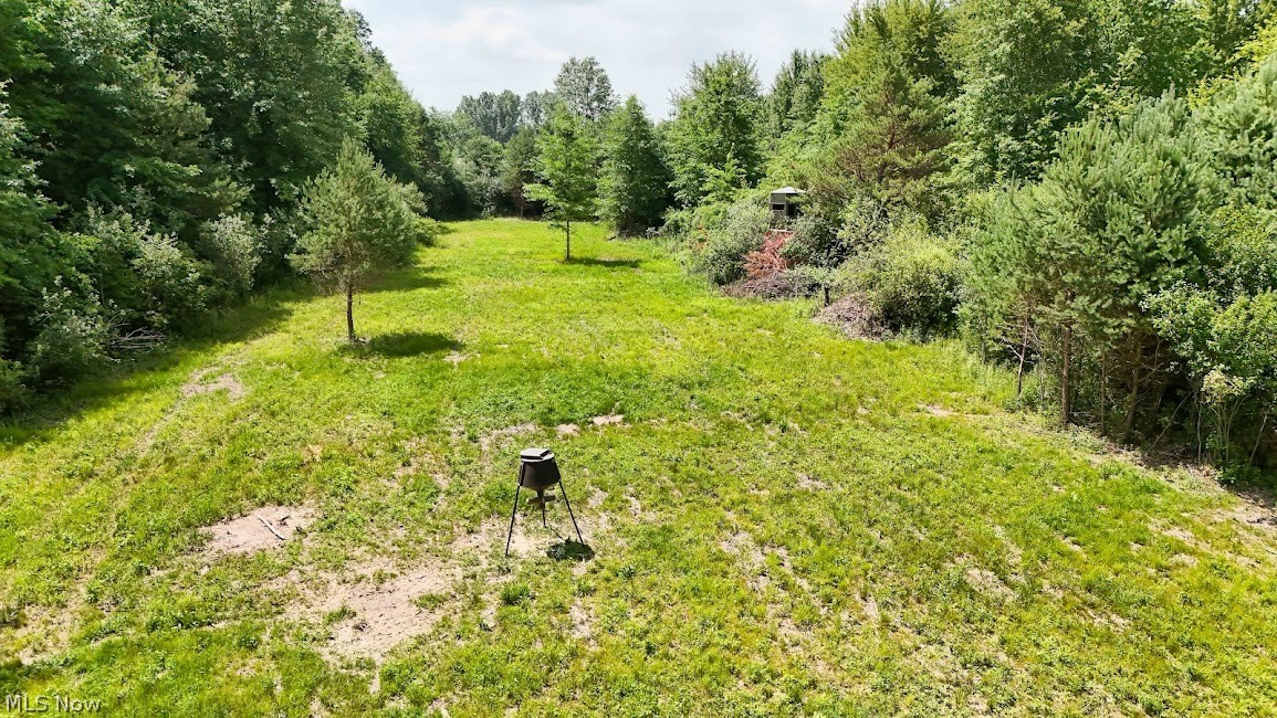 890 Bristol Champion Townline Road NE