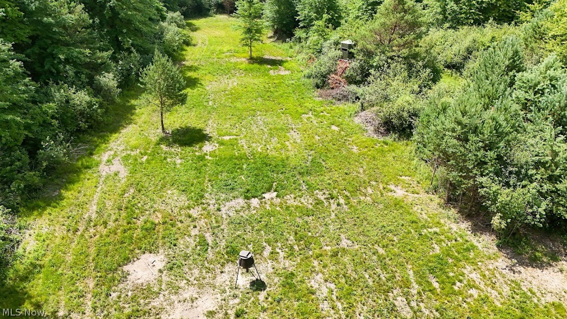 890 Bristol Champion Townline Road NE