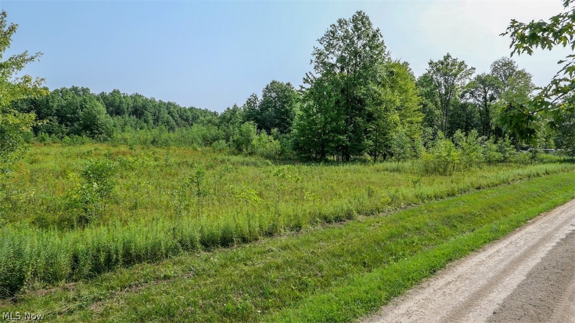 4523 Plank Road