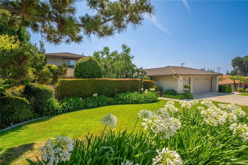 964 N Entrada Way