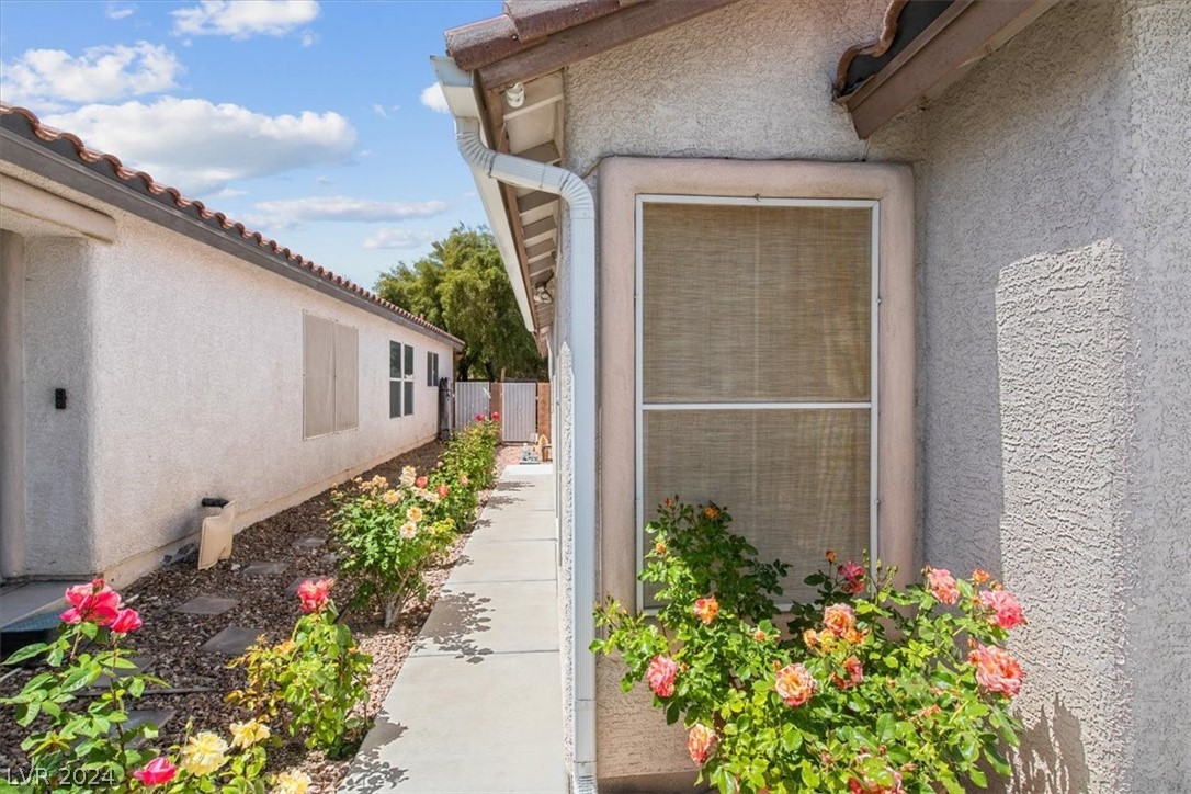 11135 Verismo Street