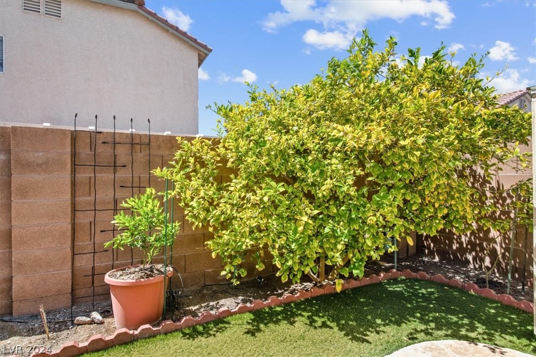 11135 Verismo Street