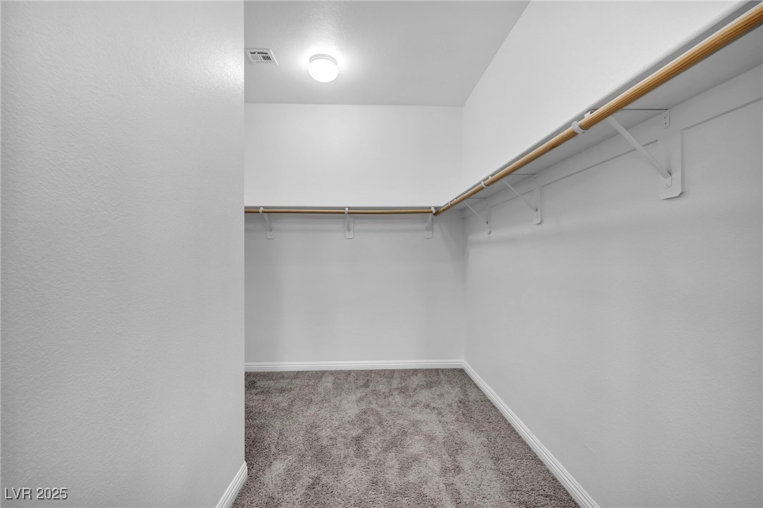 7877 Saber Tooth Street
