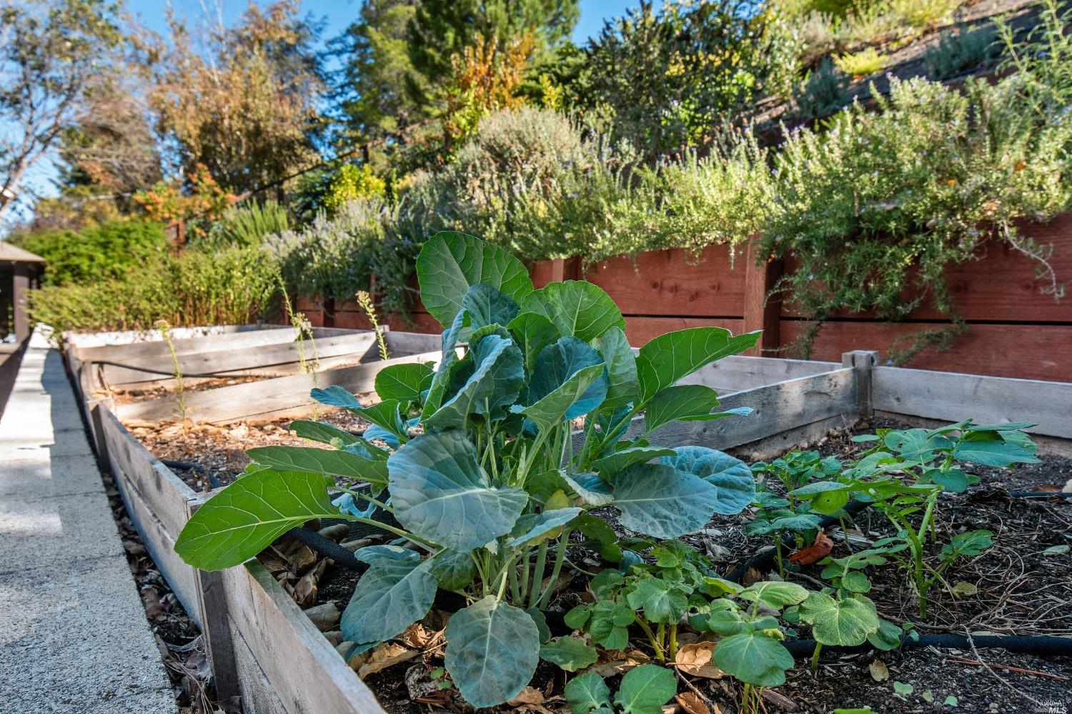 1902 Las Gallinas Avenue