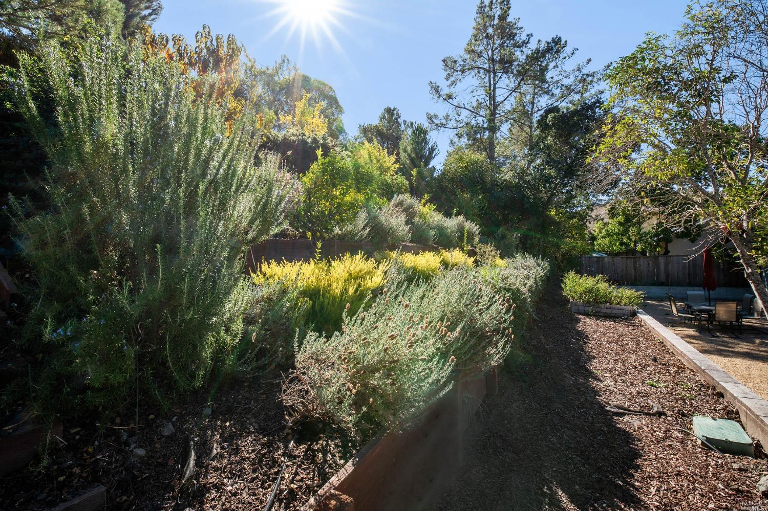 1902 Las Gallinas Avenue