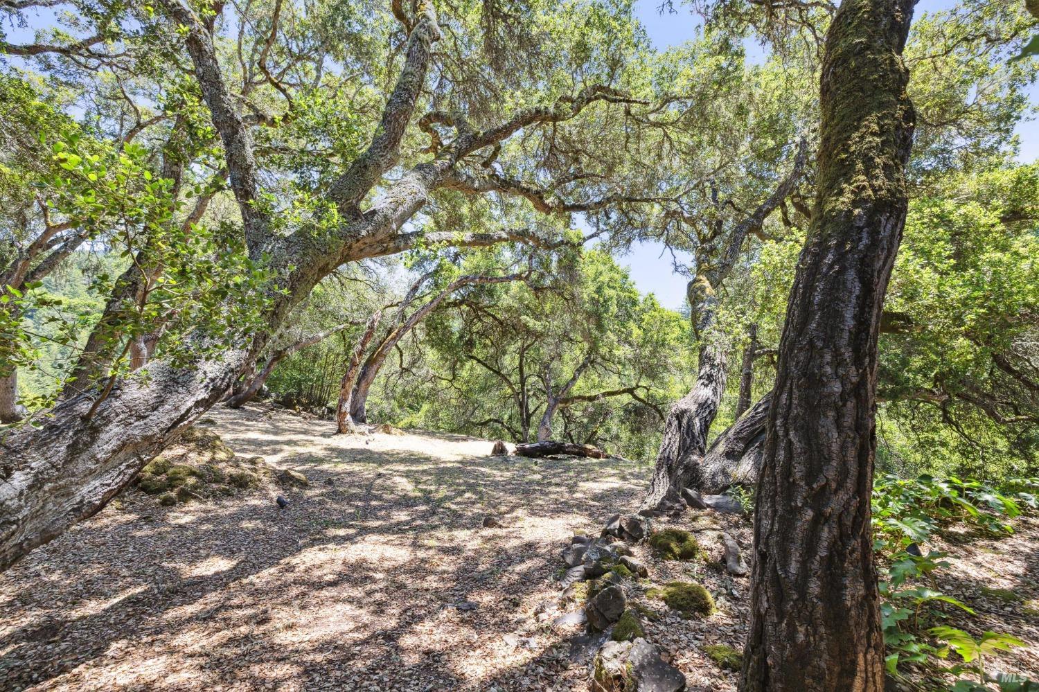 5675 Lucas Valley Rd