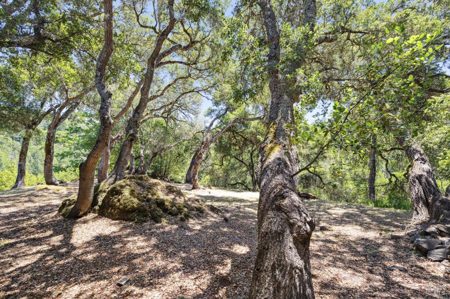 5675 Lucas Valley Rd